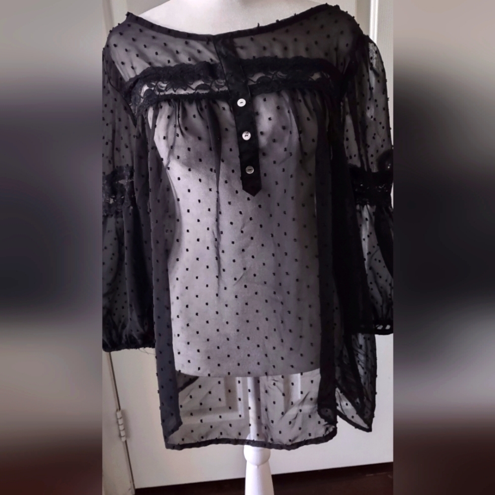 Sheer Black Blouse with Lace accent on sleeves
